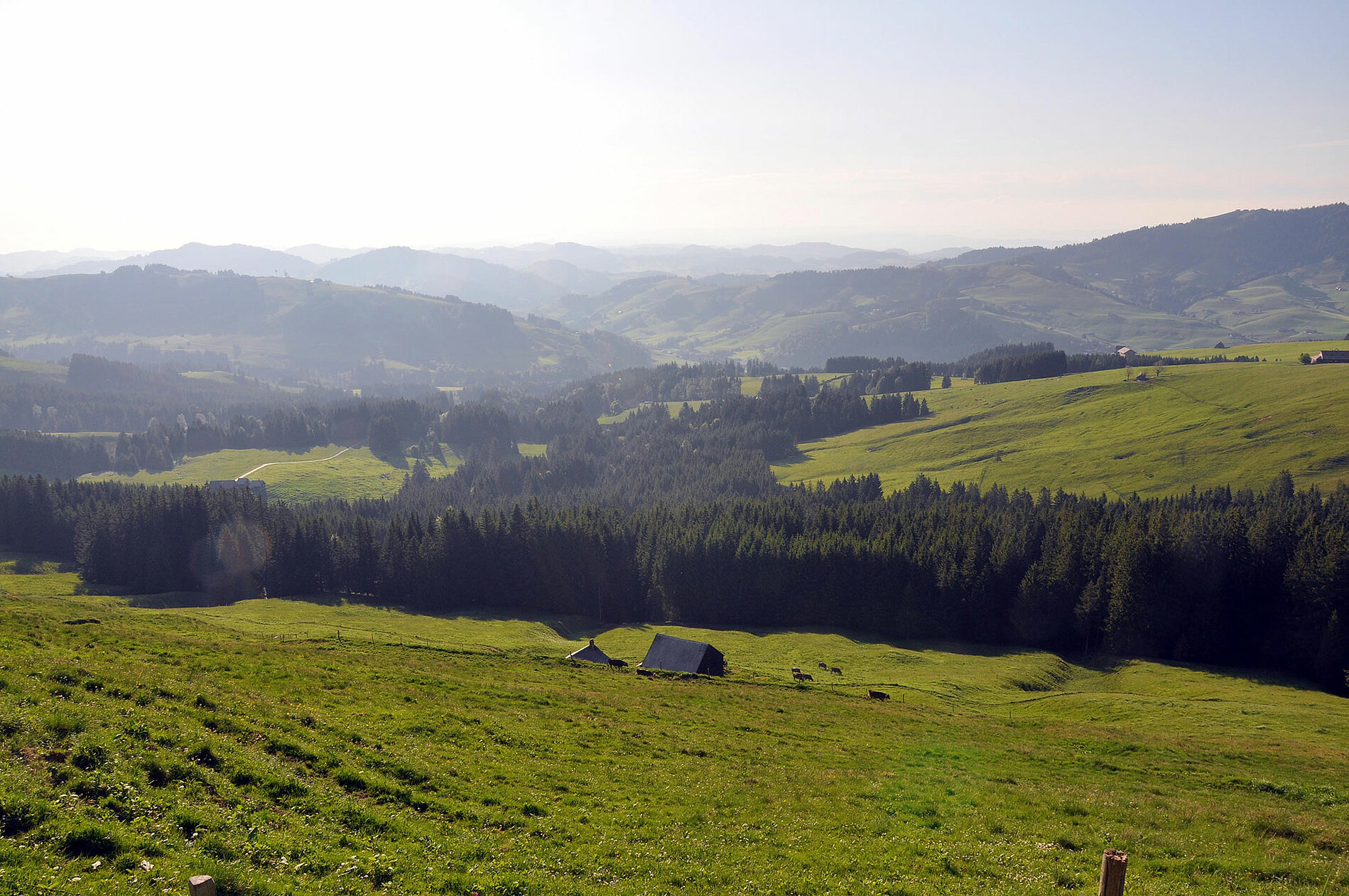 Rundtour Appenzell Scheidegg Hundwiler Hohe Enggenhutten Appenzellerland Tourismus